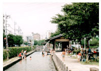 曳舟川親水公園の写真です。
